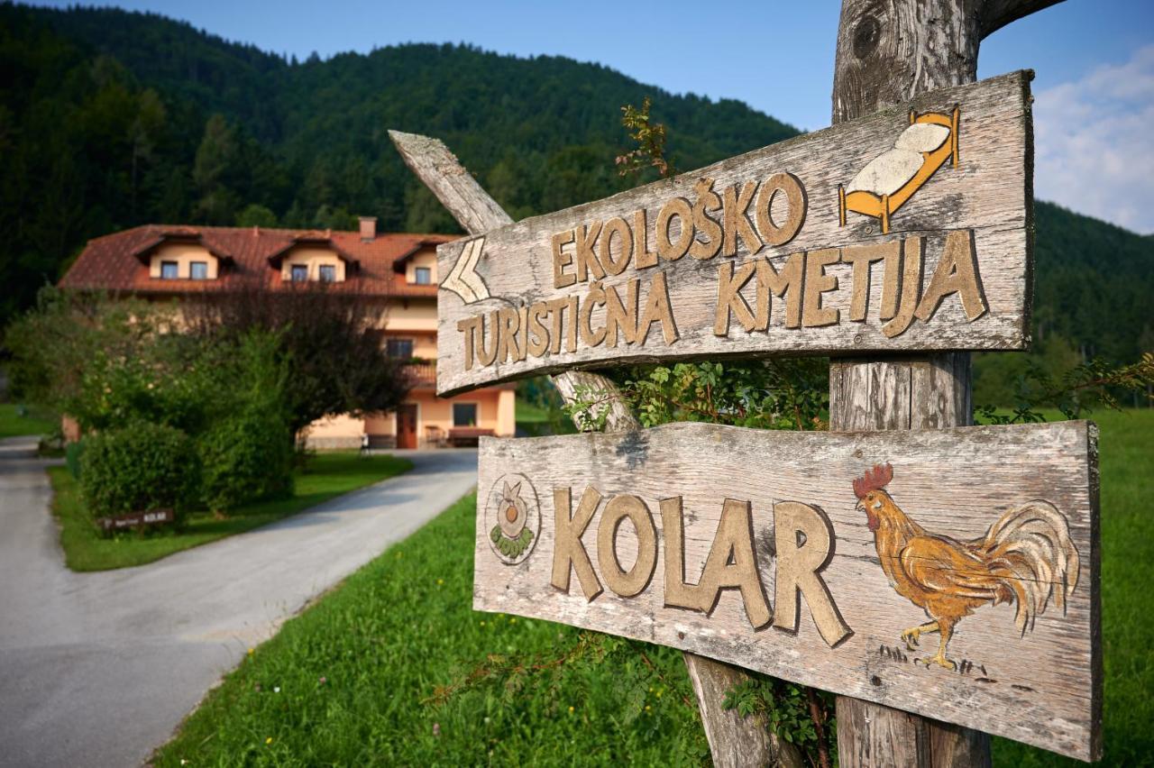 Villa Tourist Farm Kolar à Ljubno Extérieur photo