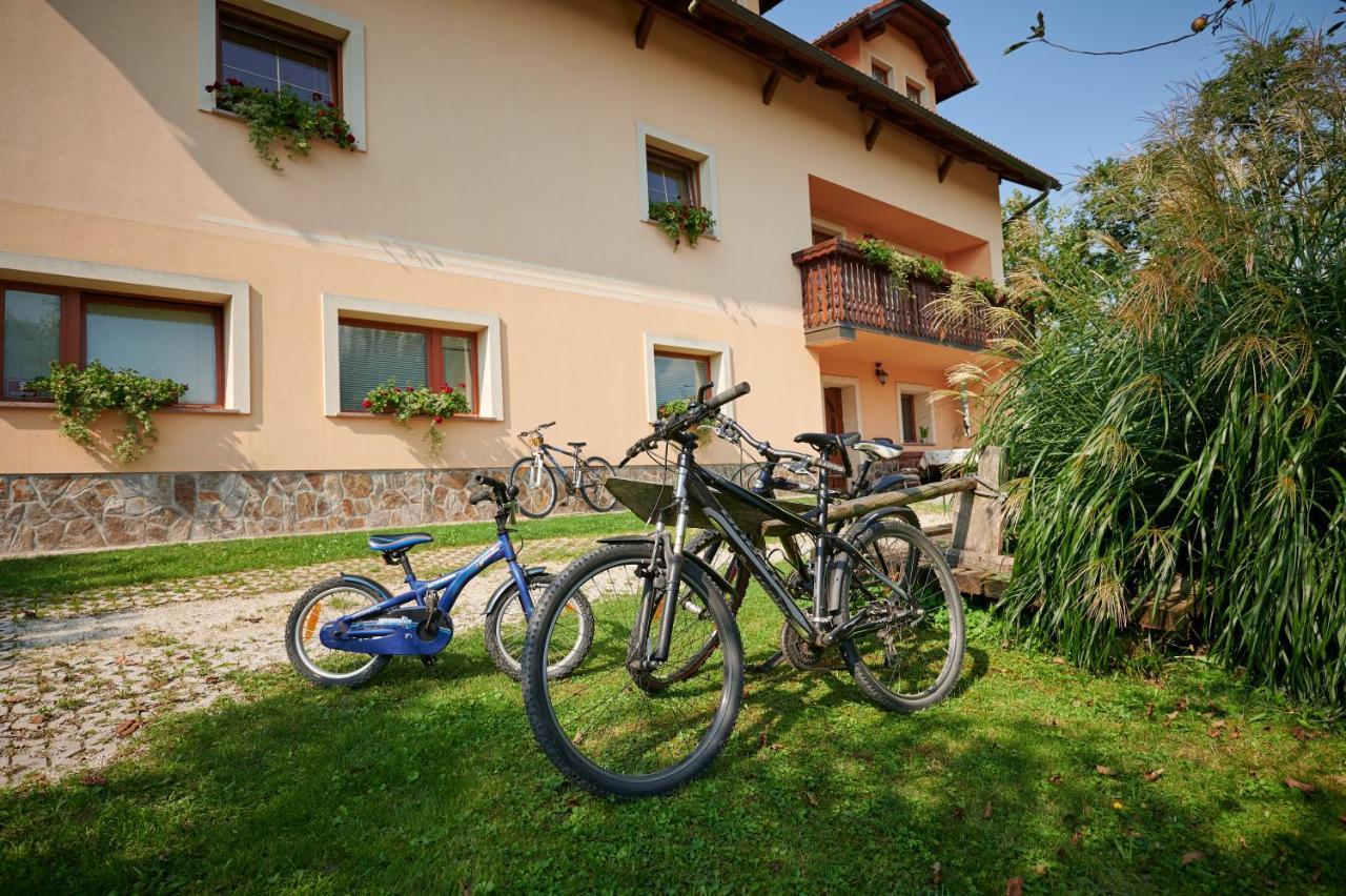Villa Tourist Farm Kolar à Ljubno Extérieur photo